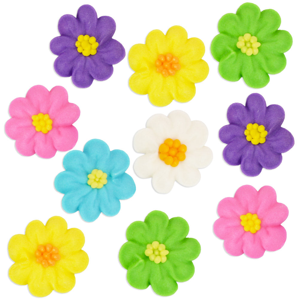 Bright Icing Daisy Assortment